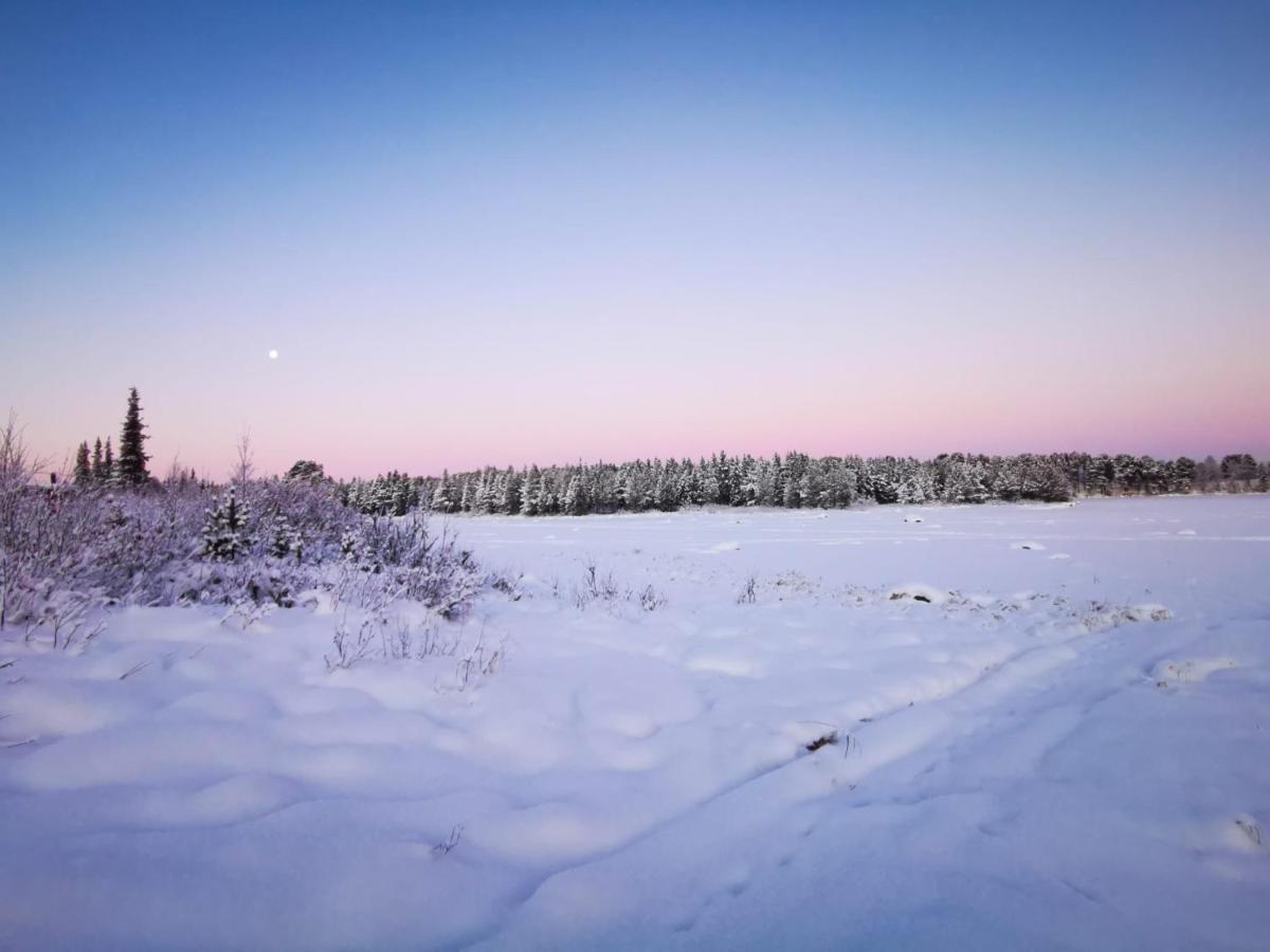 Aurora River Camp Glass Igloos & Cabins Kiruna Exterior foto